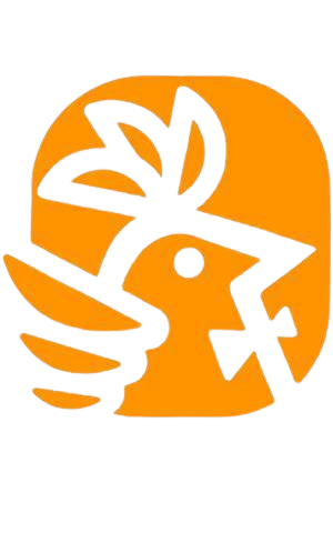 CHICK N BOW